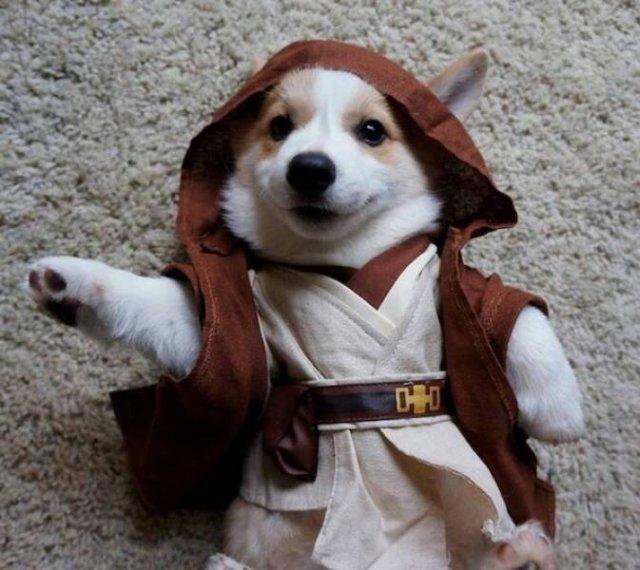 Подборка прикольных фото №3835