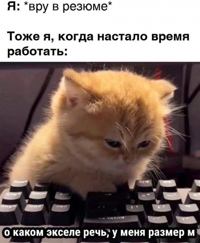 Смешные мемы - 03.11.2025 (15 фото)