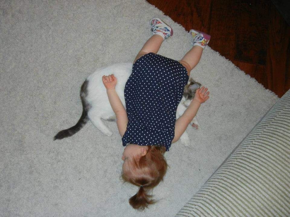 
        16&nbsp;доказательств того, что&nbsp;жизнь с&nbsp;детьми и&nbsp;питомцами полна приключений    