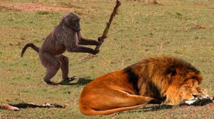 Подборка прикольных фото №3829