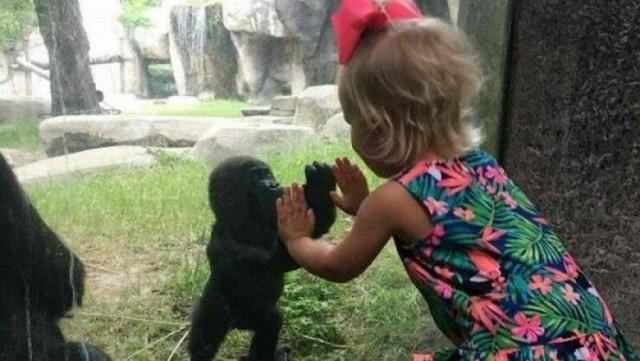 Подборка прикольных фото №3825