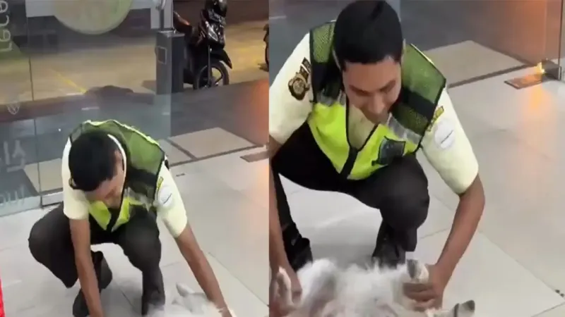 
        Охранник выпроваживает собаку из&nbsp;магазина    