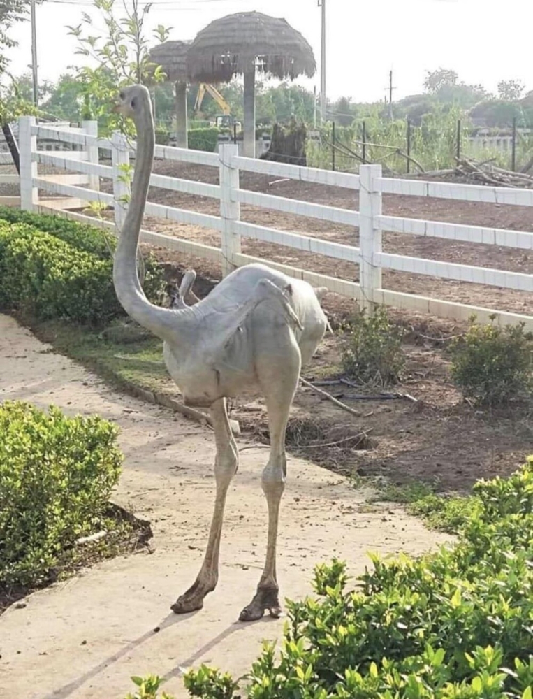 
        30&nbsp;впечатляющих снимков со&nbsp;всего света    