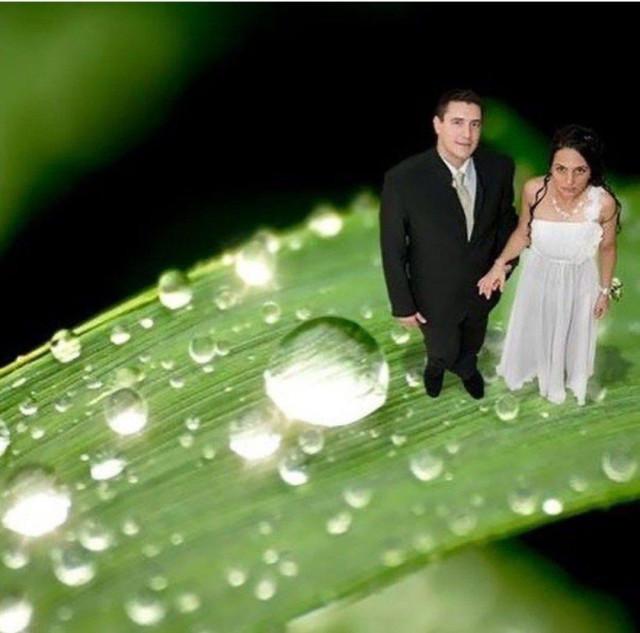 Свадебный фотошоп, бессмысленный и беспощадный. Подборка забавных фото! Свадебный фотошоп, бессмысленный и беспощадный. Подборка забавных фото!