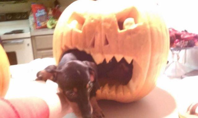 Подборка прикольных фото №3818