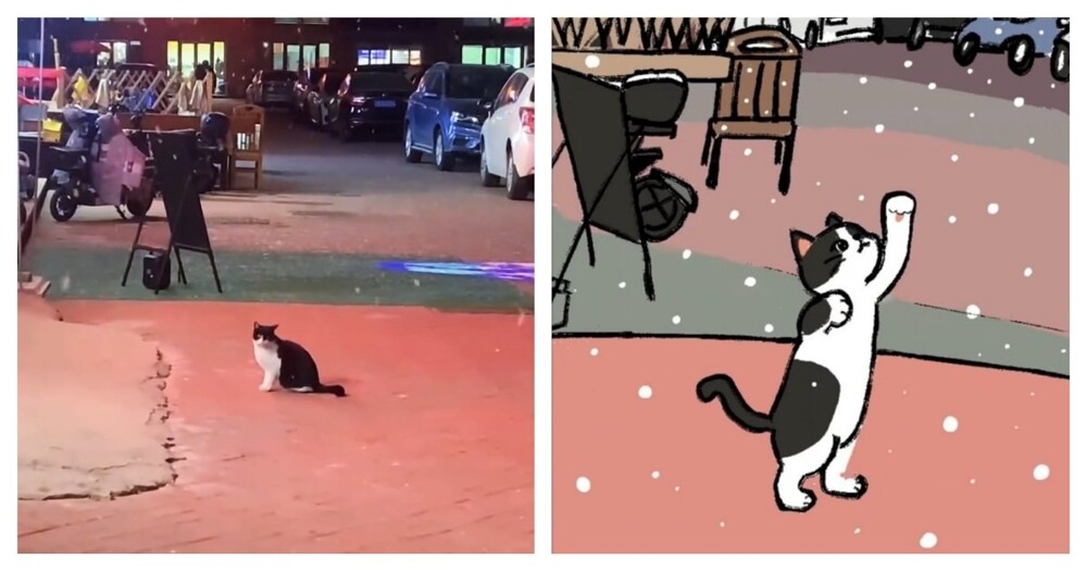 
        Кот&nbsp;впервые увидел снег    