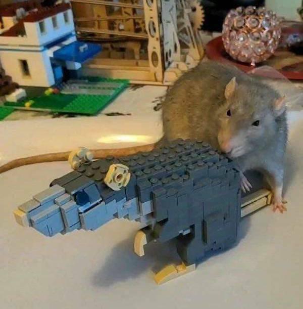 Подборка прикольных фото №3817