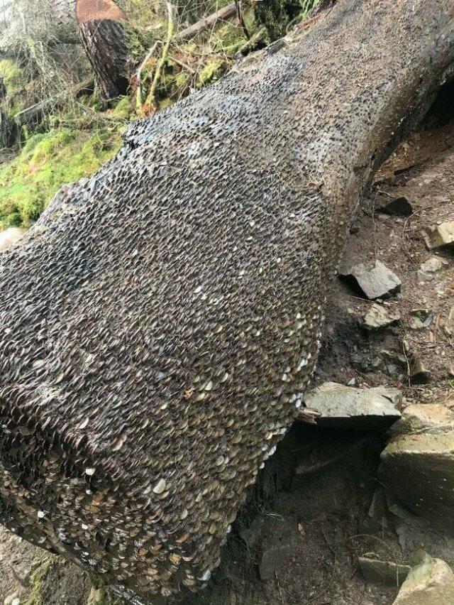 Подборка прикольных фото №3817