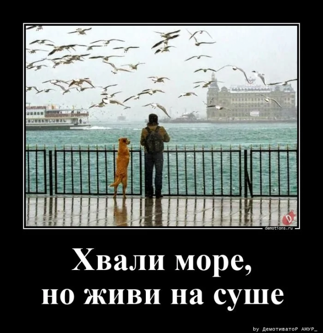 
			Демотиваторы №3773 (15 фото)