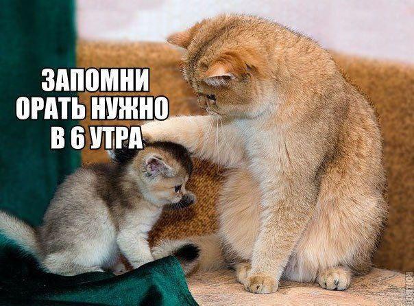 Подборка прикольных фото №3834