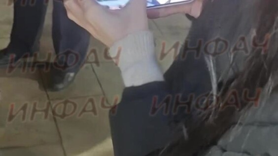 
        Полицейский поставил бородача на&nbsp;место    