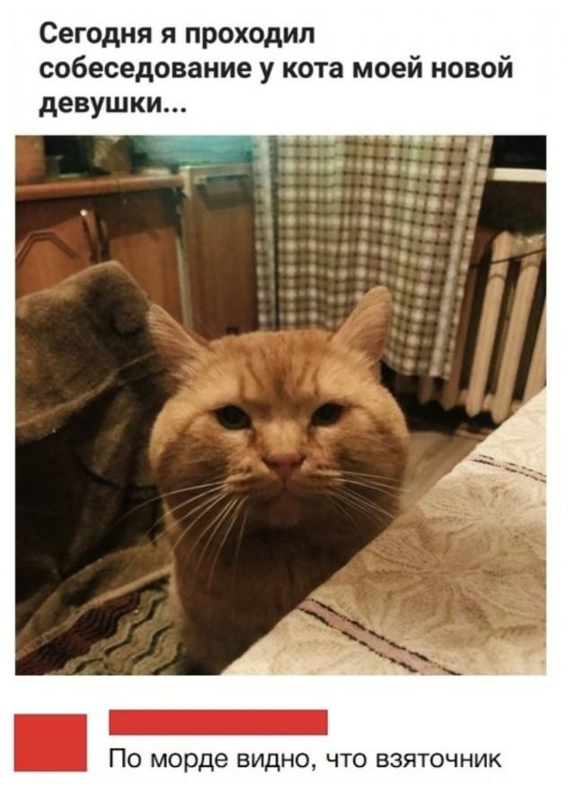 Подборка прикольных фото №3818