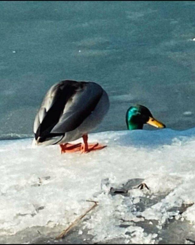 Подборка прикольных фото №3834