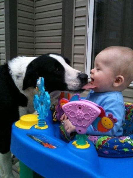 Подборка прикольных фото №3823