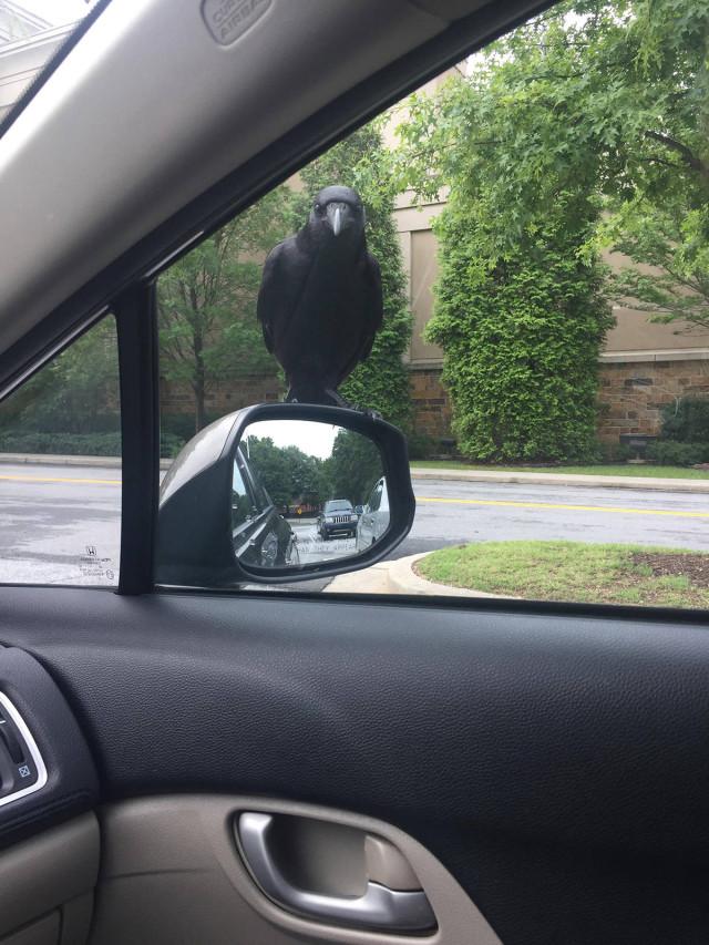 Подборка прикольных фото №3824