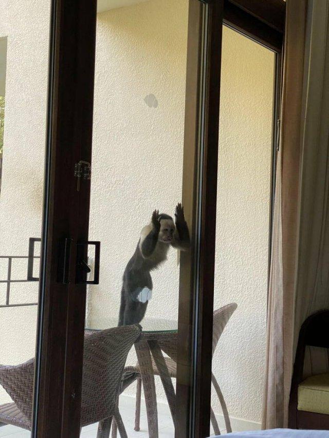 Подборка прикольных фото №3827