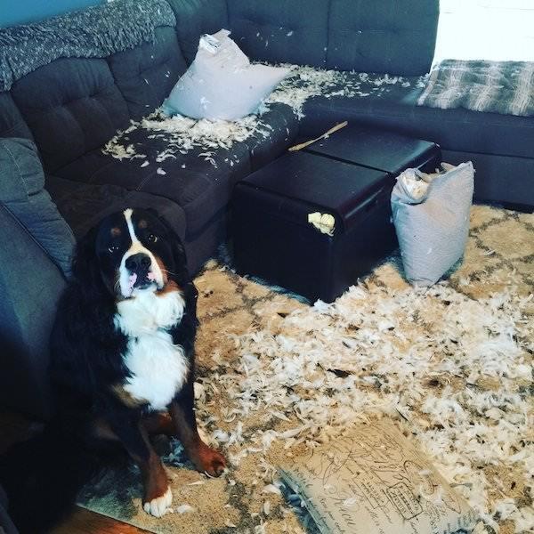 И не такое бывает&hellip;