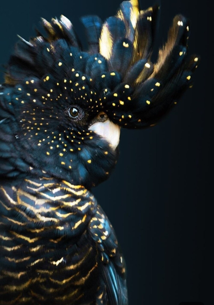 
        20&nbsp;примеров нестандартных и&nbsp;аномальных красок природы    