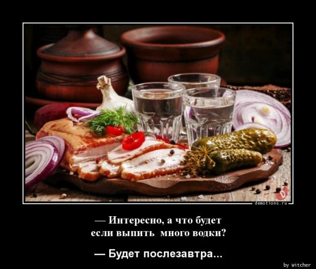 
			Демотиваторы №3765 (15 фото)