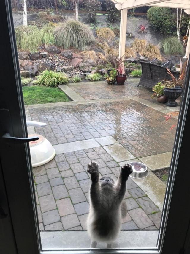 Подборка прикольных фото №3819