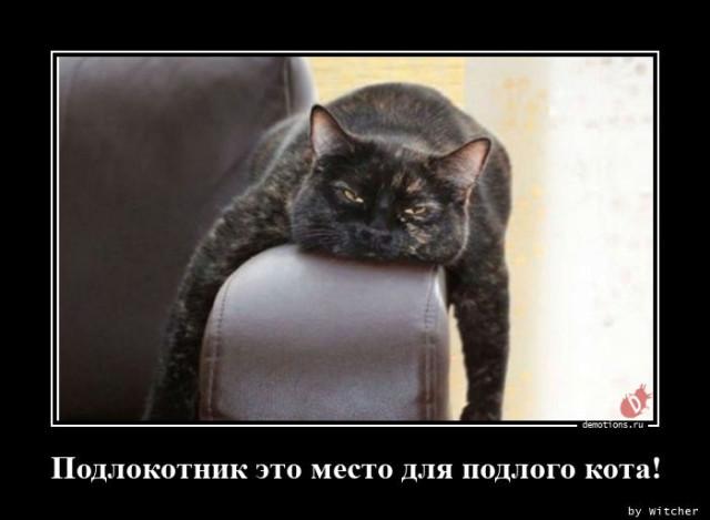 
			Демотиваторы №3771 (15 фото)