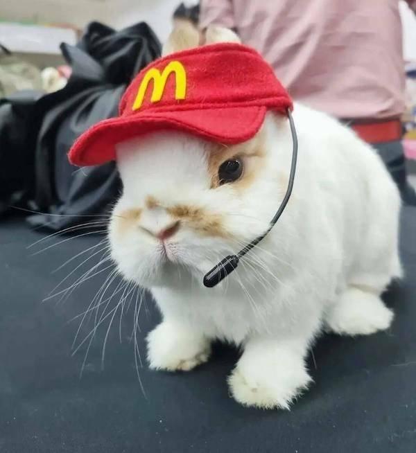 Подборка прикольных фото №3817