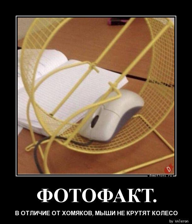 
			Демотиваторы №3767 (15 фото)