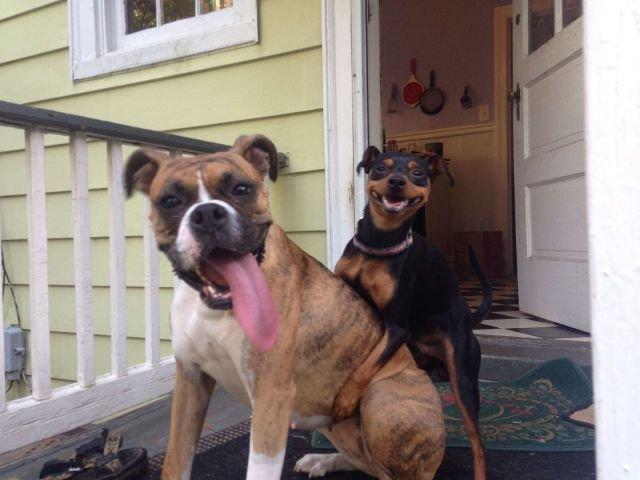 Подборка прикольных фото №3830