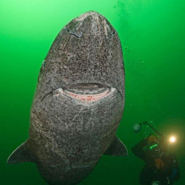 Подборка прикольных фото №3836