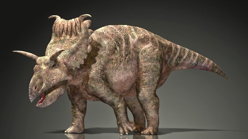 10 невероятных рекордсменов животного мира
10 невероятных рекордсменов животного мира