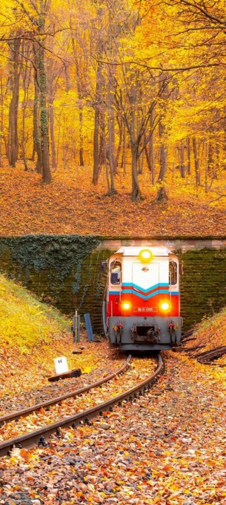 Подборка прикольных фото №3834