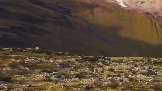 Эпичный спуск покрышки с горы
Эпичный спуск покрышки с горы