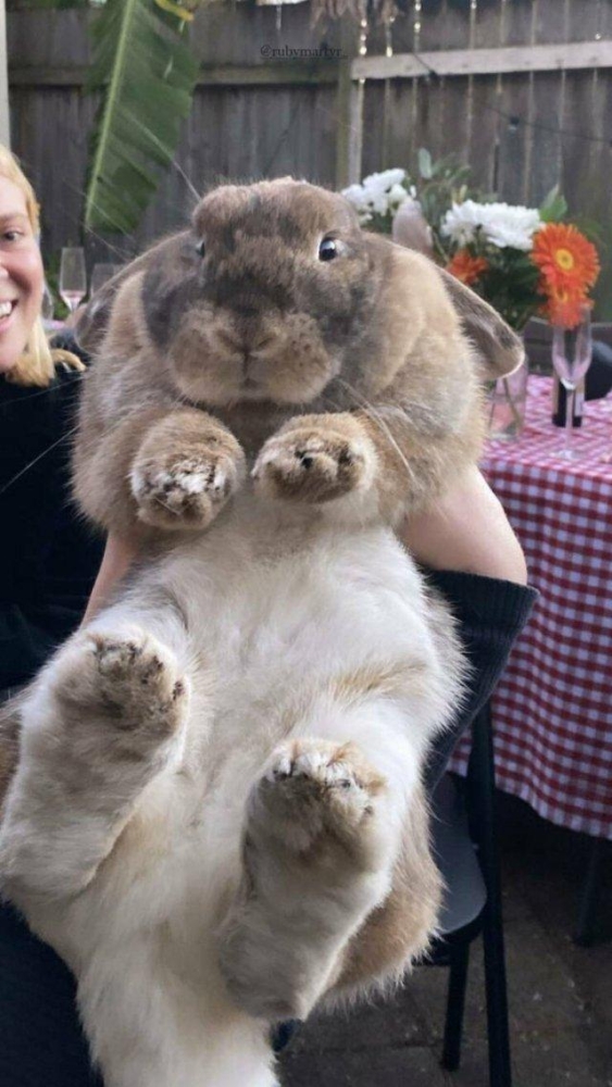 Подборка прикольных фото №3834