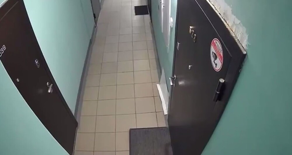 Взрывная волна выбила дверь в новосибирской квартире
Взрывная волна выбила дверь в новосибирской квартире