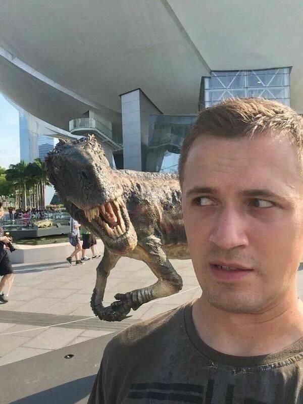 Подборка прикольных фото №3817