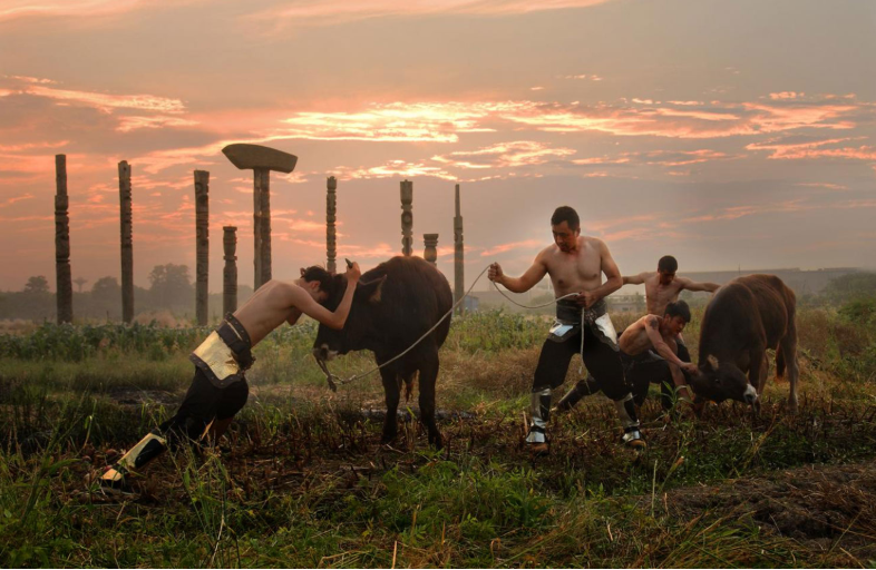 Китайская борьба с быком голыми руками
Китайская борьба с быком голыми руками