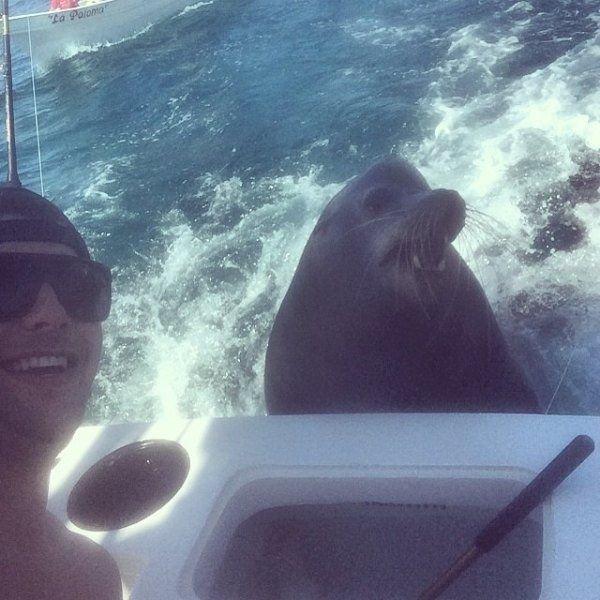 Подборка прикольных фото №3830