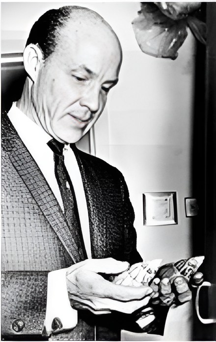 
        Ахатины: домашние улитки уничтожают мир    