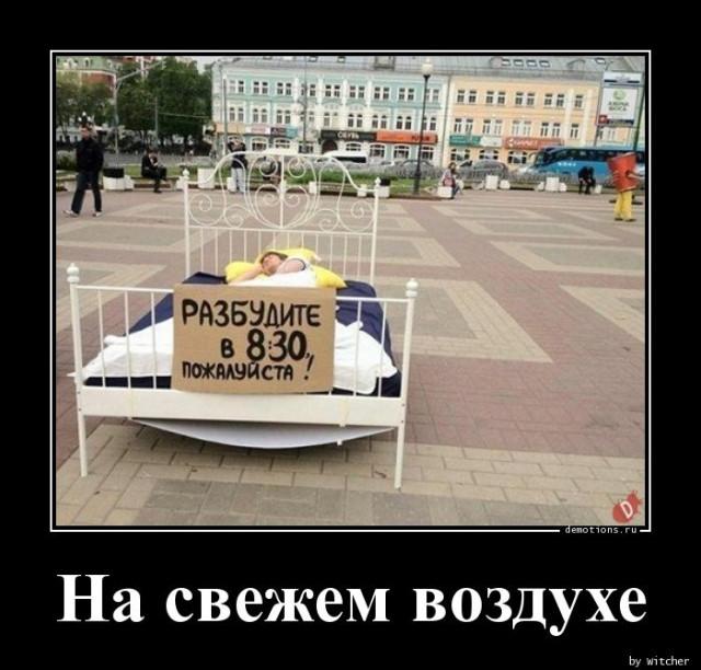 
			Демотиваторы №3764 (15 фото)