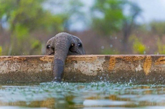 Подборка прикольных фото №3832