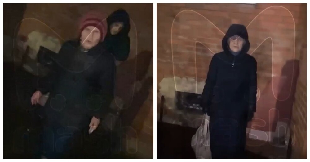 В Питере грозные бабушки напали на спасительницу уличных котят
В Питере грозные бабушки напали на спасительницу уличных котят