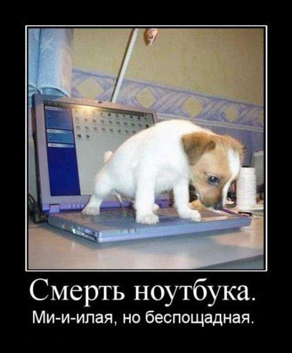 
			Демотиваторы №3769 (18 фото)