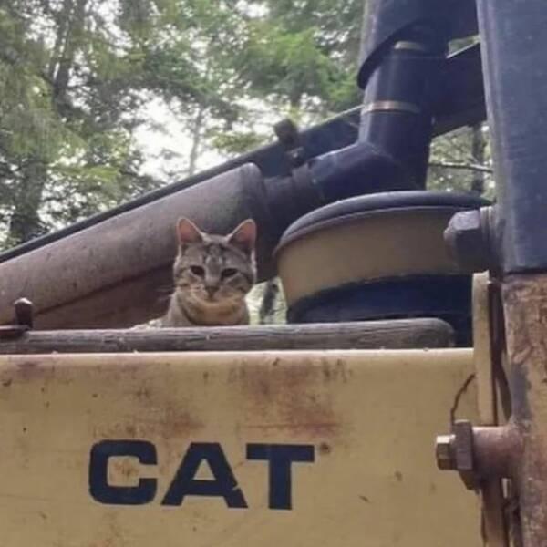 Подборка прикольных фото №3825