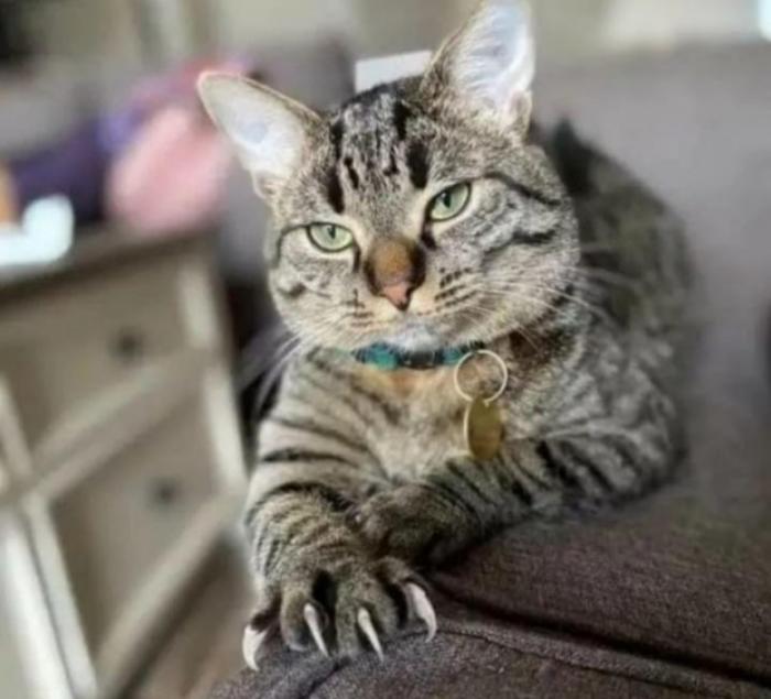 Подборка прикольных фото №3824