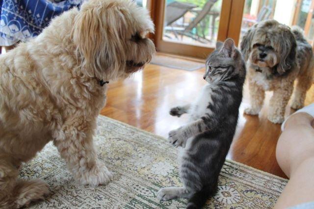 Подборка прикольных фото №3823