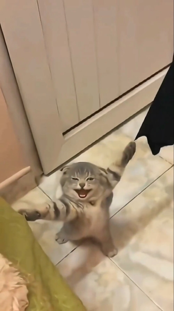 30 забавных снимков животных, попавших в затруднительные ситуации
30 забавных снимков животных, попавших в затруднительные ситуации