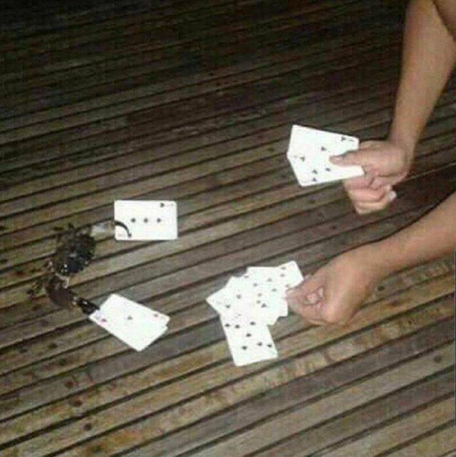 Подборка прикольных фото №3820