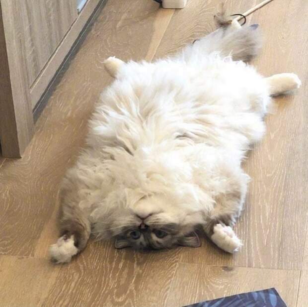 
        20&nbsp;одухотворённых мастеров дзена, которые знают о&nbsp;релаксе всё&nbsp;и&nbsp;даже немного больше    