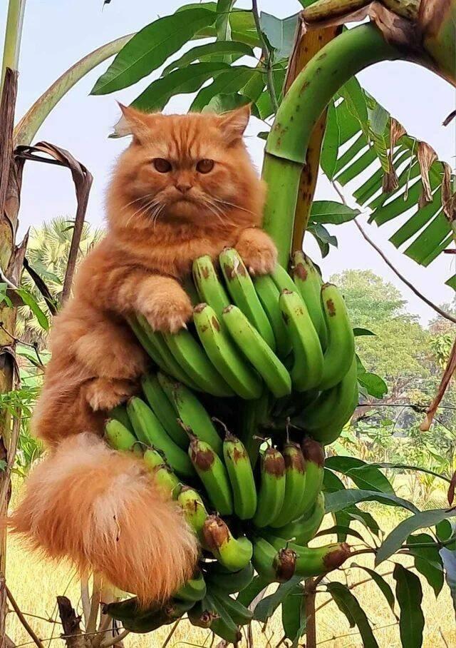 Подборка прикольных фото №3828