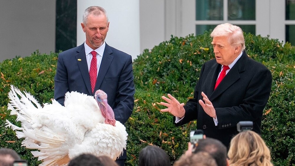 
        Трамп помиловал двух индеек на&nbsp;День благодарения    